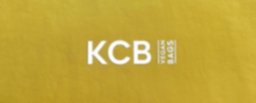 KCB Vegan Bags